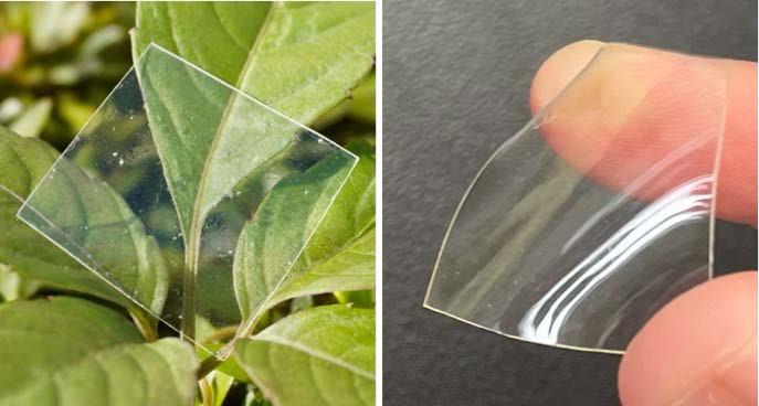 Figure 1. Pictures of supramolecular plastics Figure 1. Pictures of supramolecular plastics